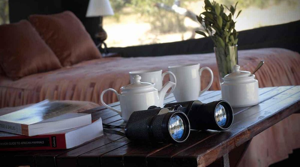 Jumelles pour observer les animaux