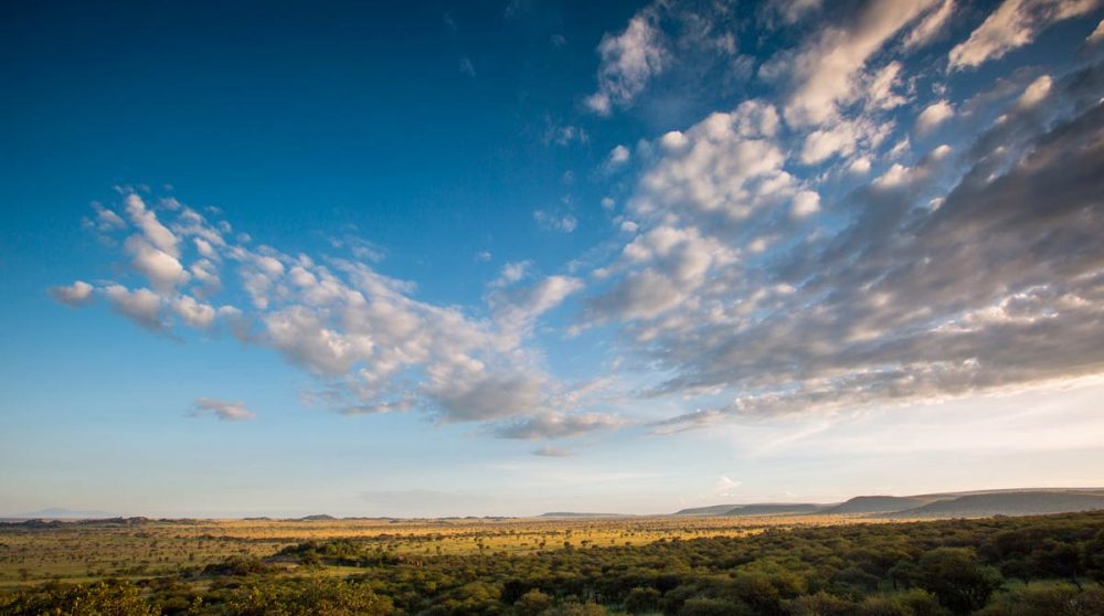 La vue sur le Serengeti