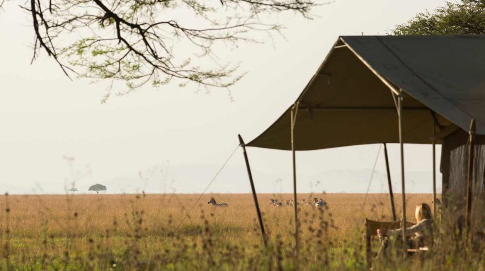 Chambre avec vue en Tanzanie
