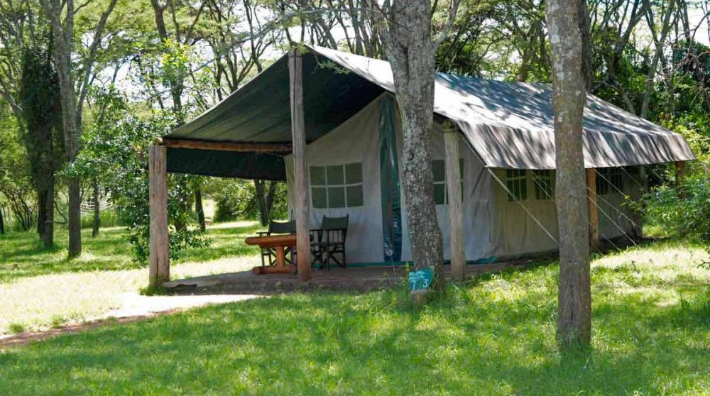 Une tente dans le jardin