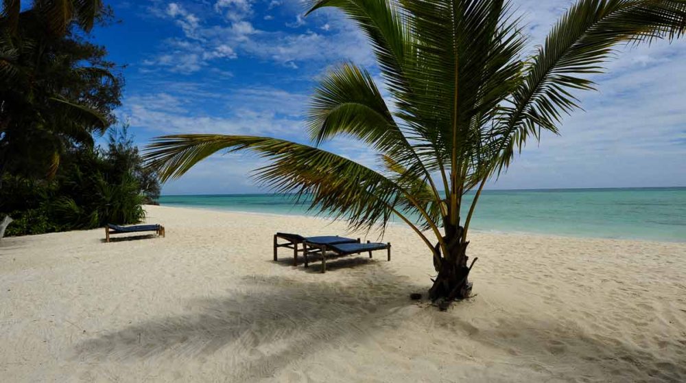 Palmiers sur la plage