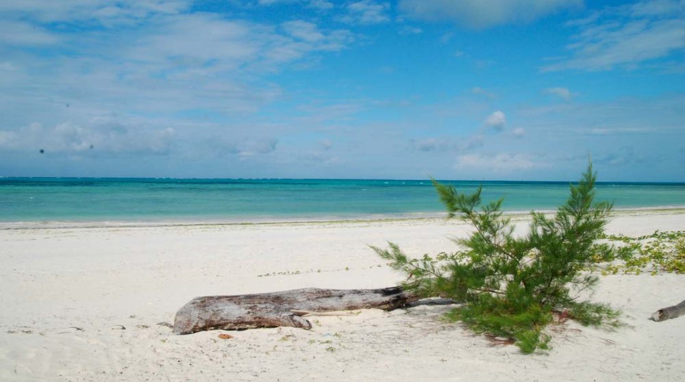 Vue sur l'océan à Zanzibar