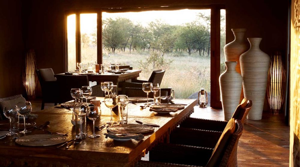 Vue sur la nature depuis le restaurant dans le parc du Serengeti