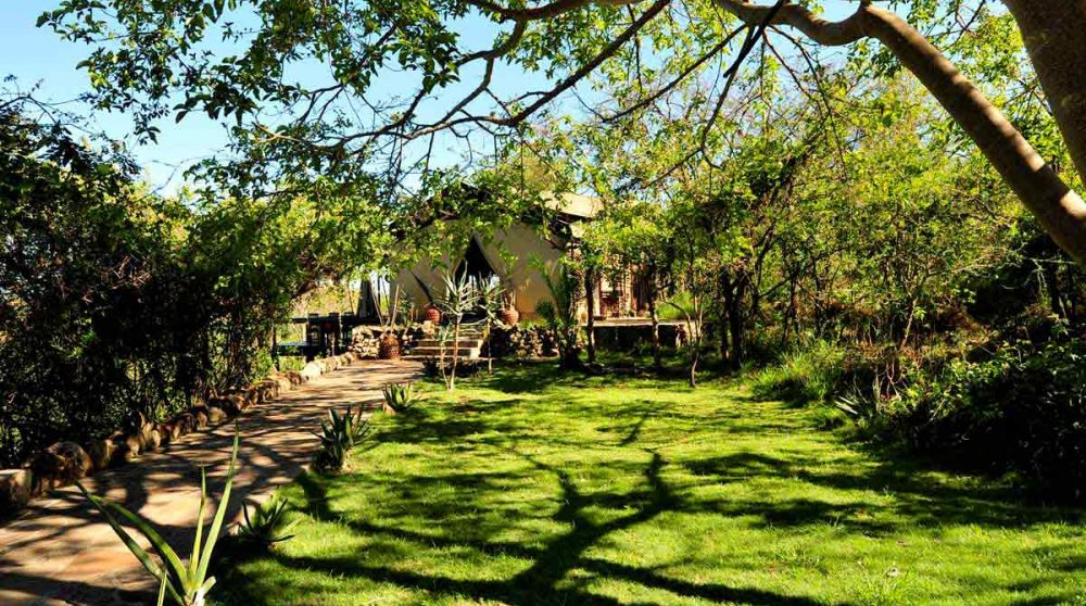 Le jardin du camp en Tanzanie