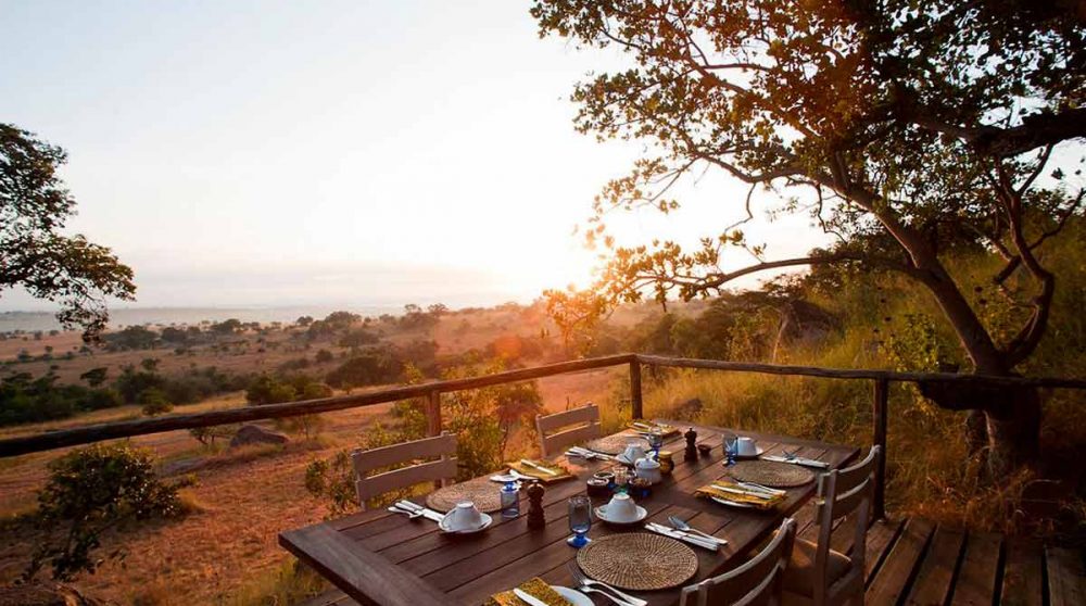 Un dîner en plein air en Tanzanie