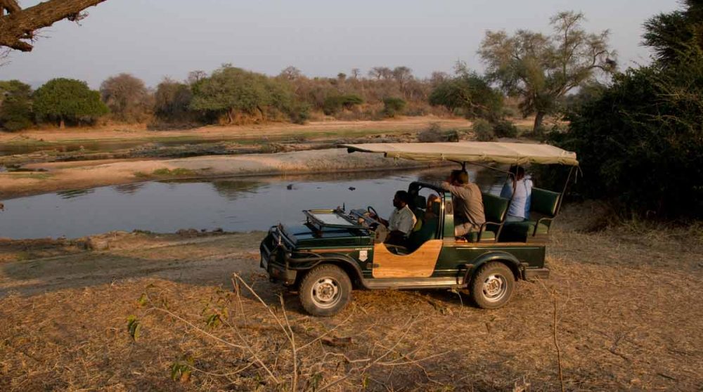 Safari près du lodge