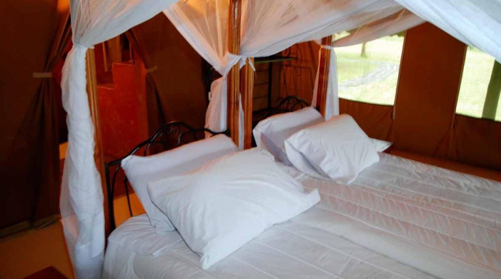 Une chambre au Lac Nakuru