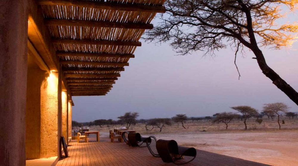 Observation de la nature à Etosha