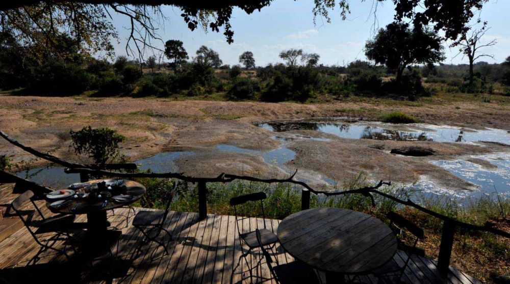 La nature vue depuis la terrasse en Afrique du Sud