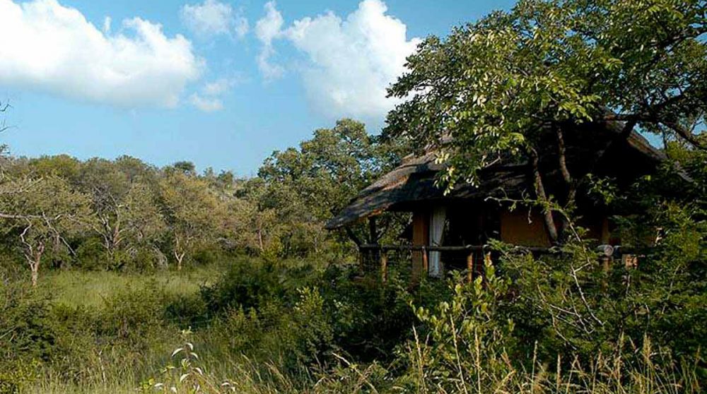 Vue sur la nature à Madikwe