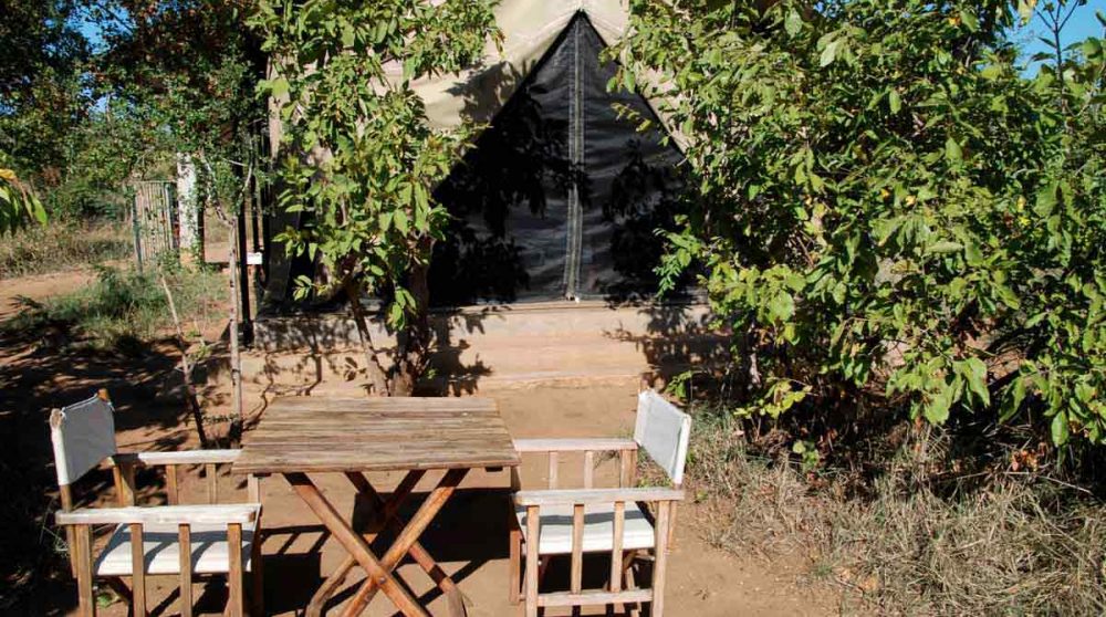 Installations devant une tente à Manyeleti