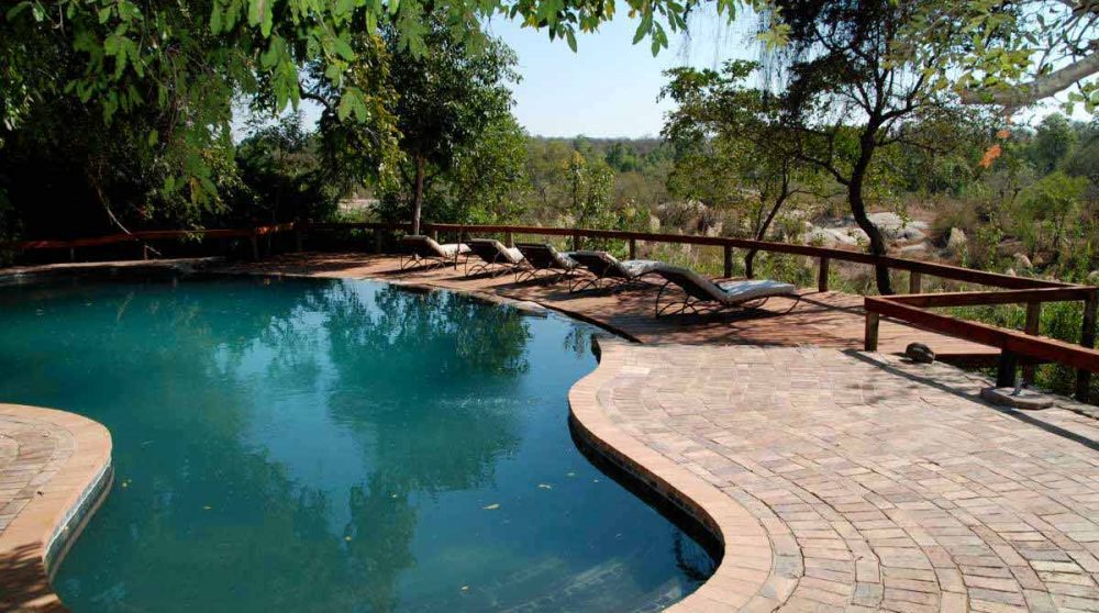 La piscine du camp à Sabi Sand