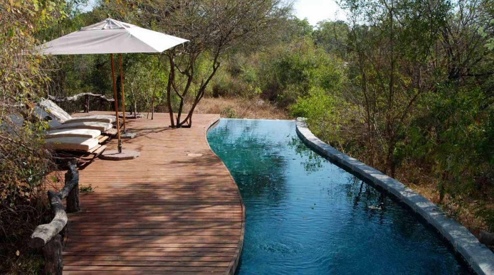 La piscine à Londolozi