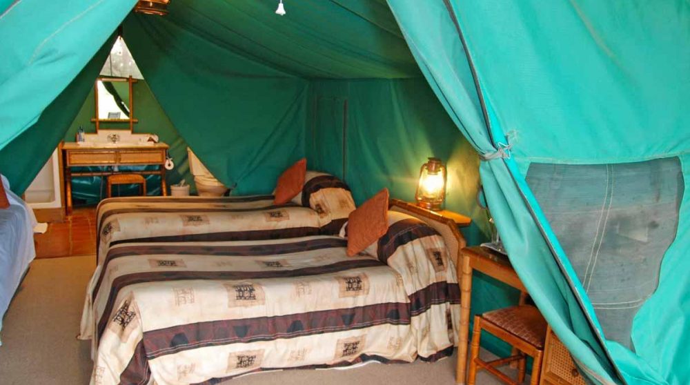 Une tente du camp à Old Pejeta