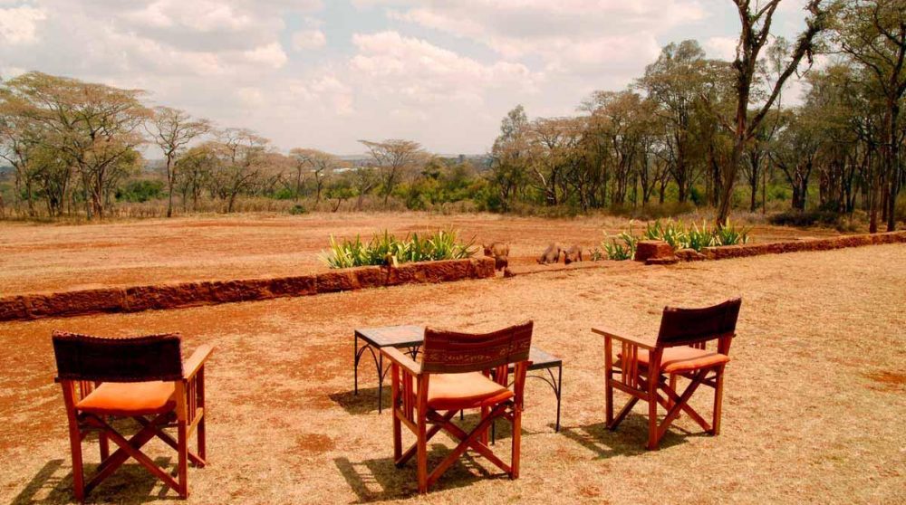 Vue sur la nature à Nairobi