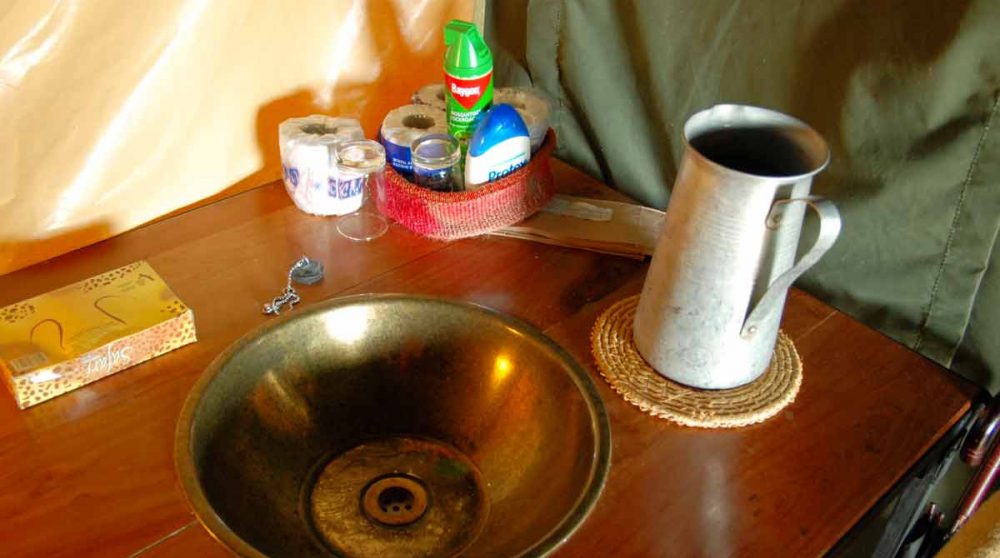 Détail dans le Serengeti