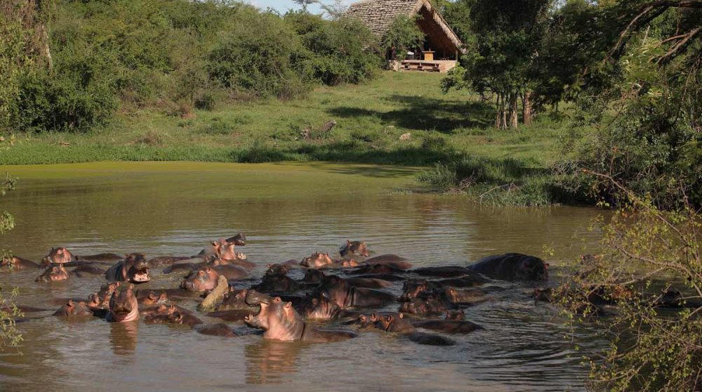 Une tente avec vue sur la rivière