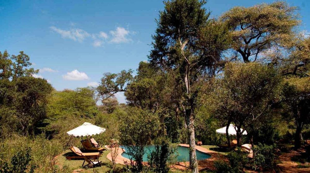 La piscine au beau milieu de la nature au Meru National Parc