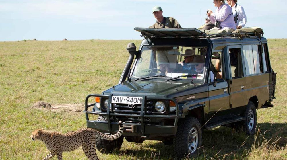 Un safari en pleine nature
