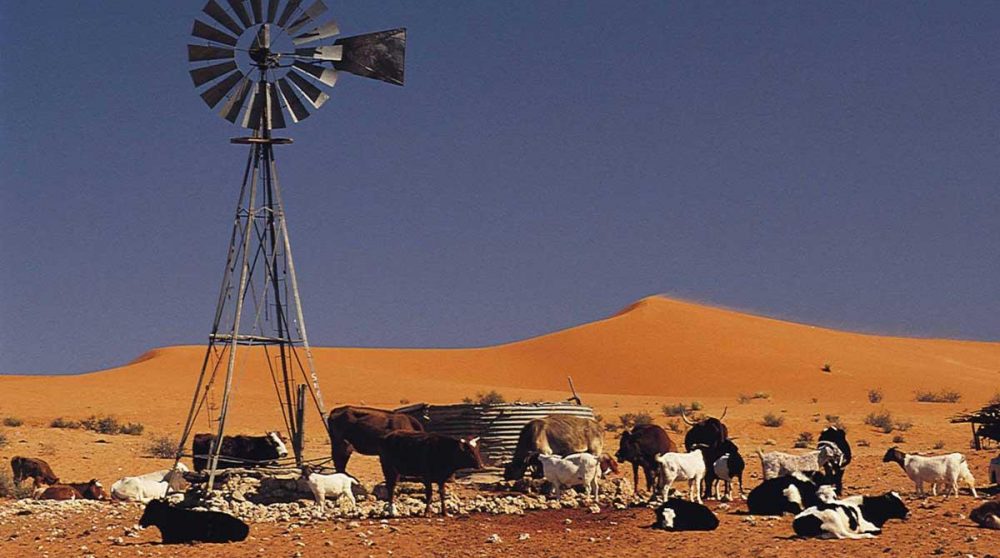 Ferme dans le Kalahari