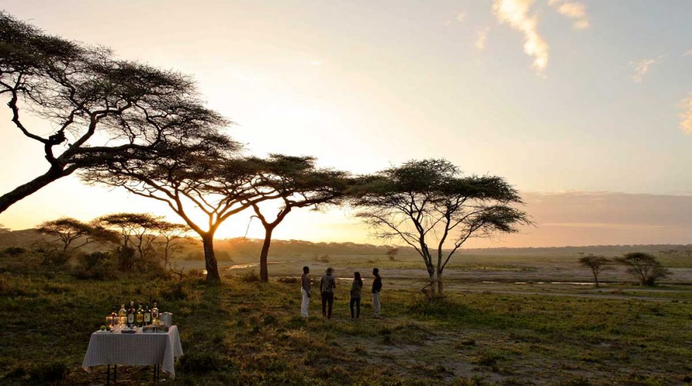 Dîner dans la savane le soir