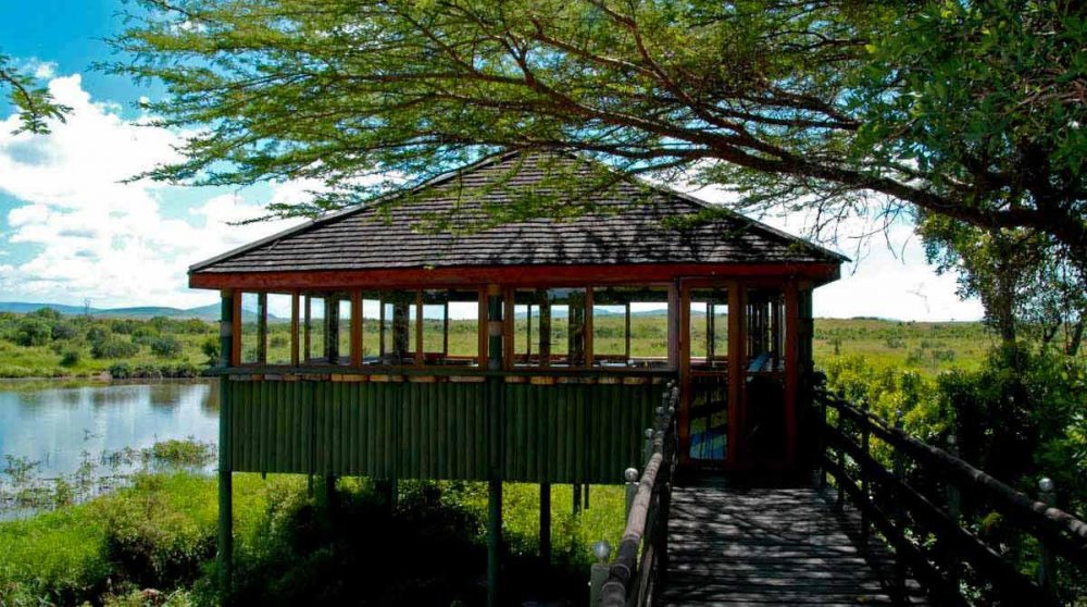 Une terrasse avec vue sur le lac