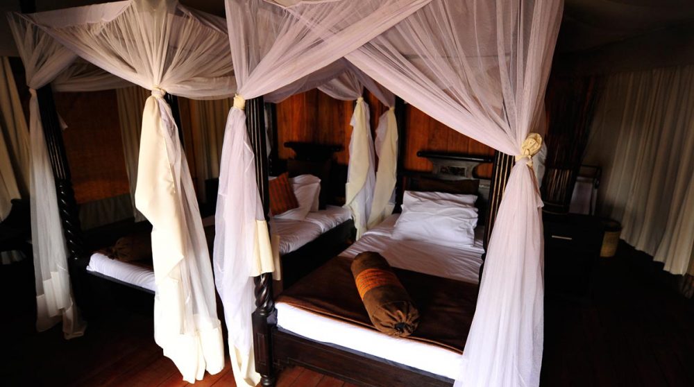 Aperçu d'une chambre et des lits