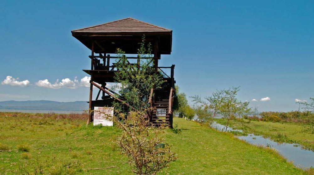 Un observatoire du lodge