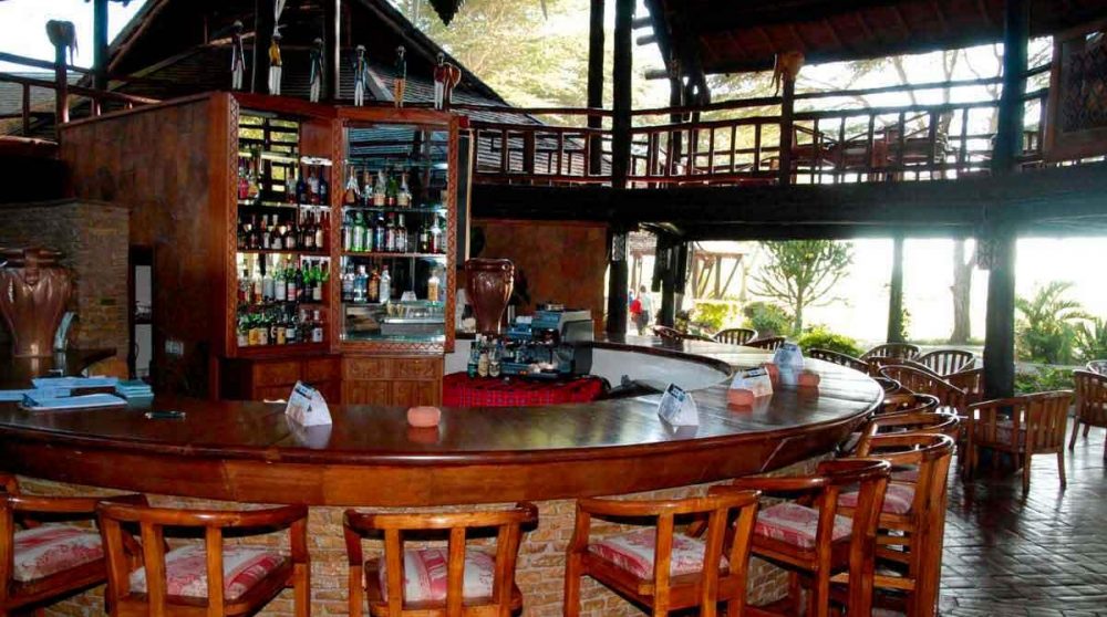 Vue sur le jardin depuis le bar