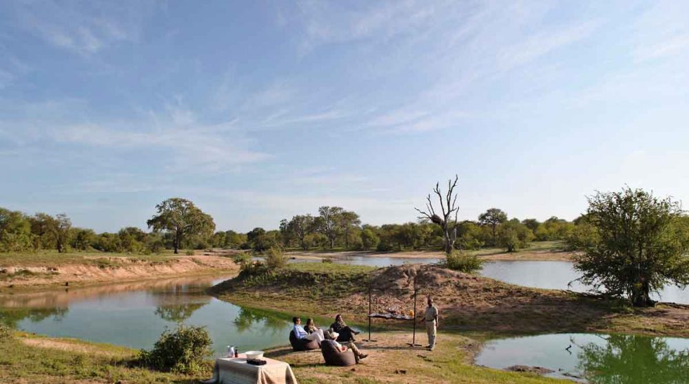 Un arrêt lors d'un safari