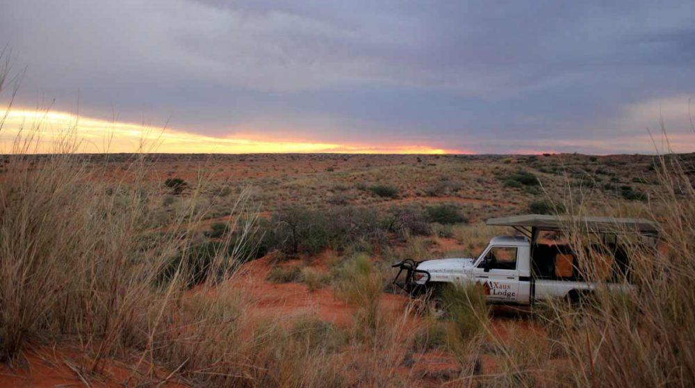 Départ matinal en safari