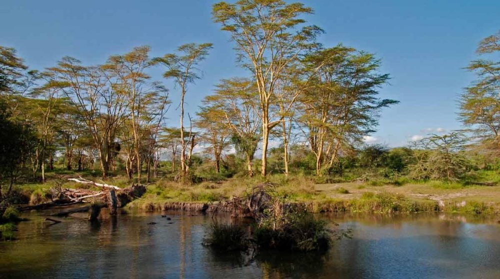 Le lac à côté de l'hôtel