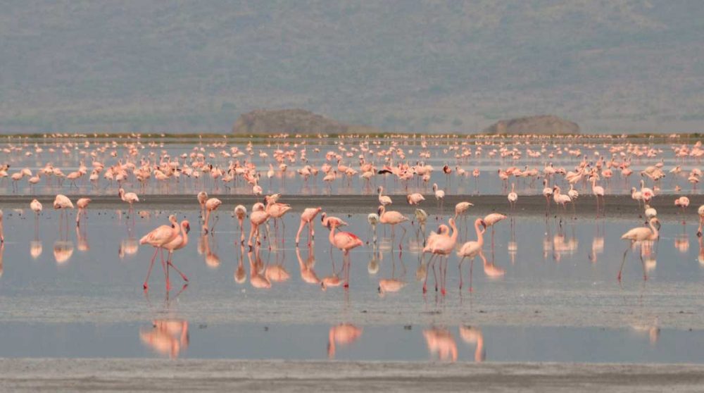 Le lac Natron