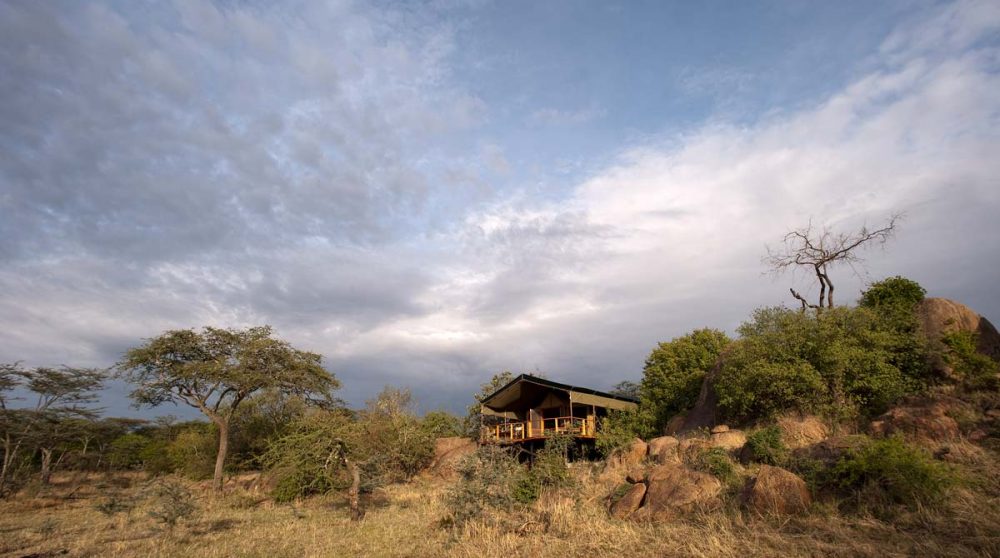 Paysage de savane au camp