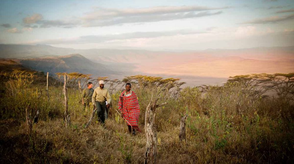 Marche à travers les plaines