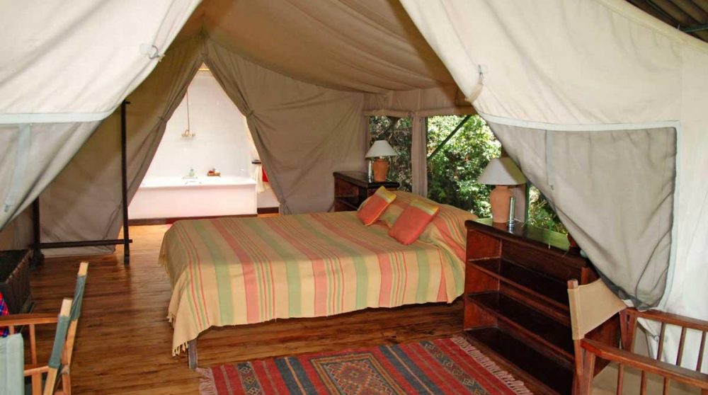 Ouverture de la tente