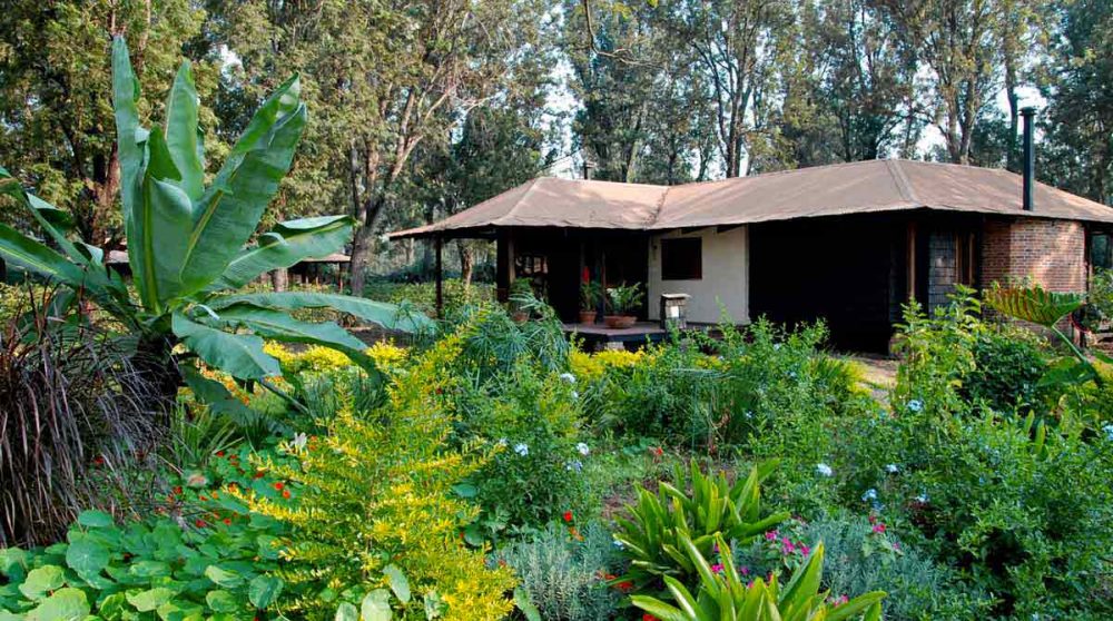 Extérieur d'une chambre plantation