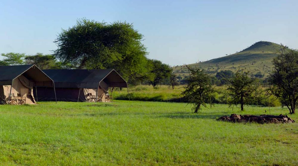 Vue sur la nature et les tentes