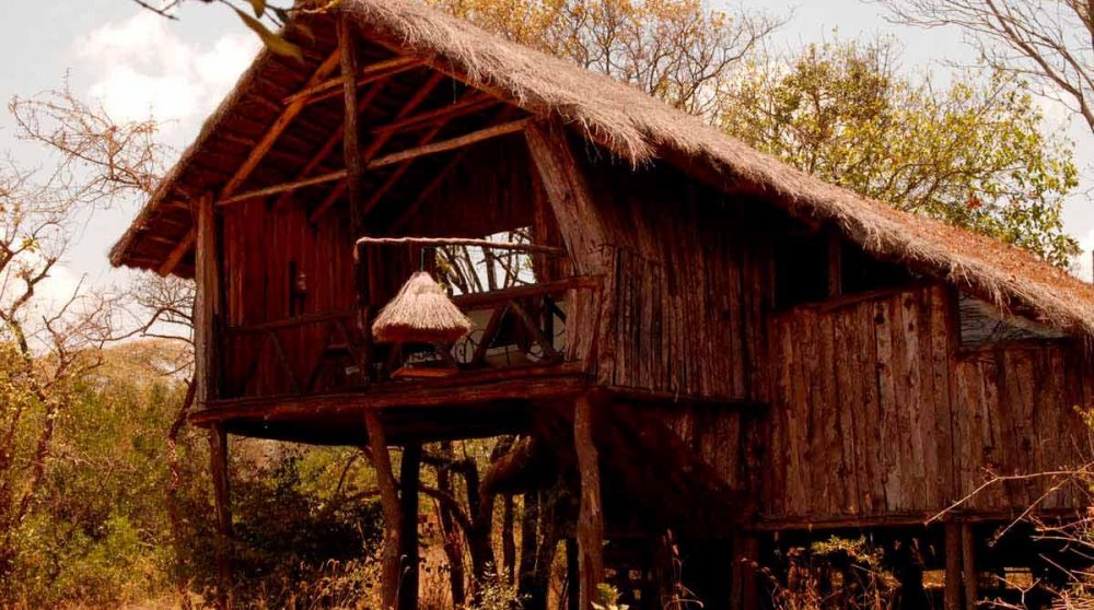 Une chambre treehouse