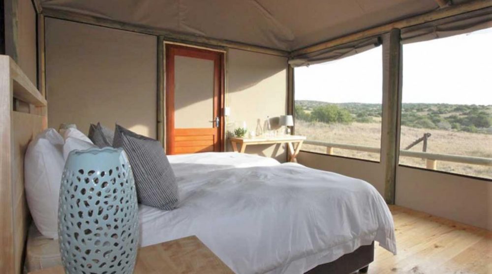 La deuxième chambre de l'Amakhala Hlosi Lodge