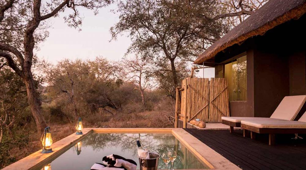 Sa petite piscine privative près du parc Kruger