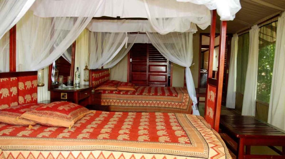 Lits dans une tente du Fig Tree Camp