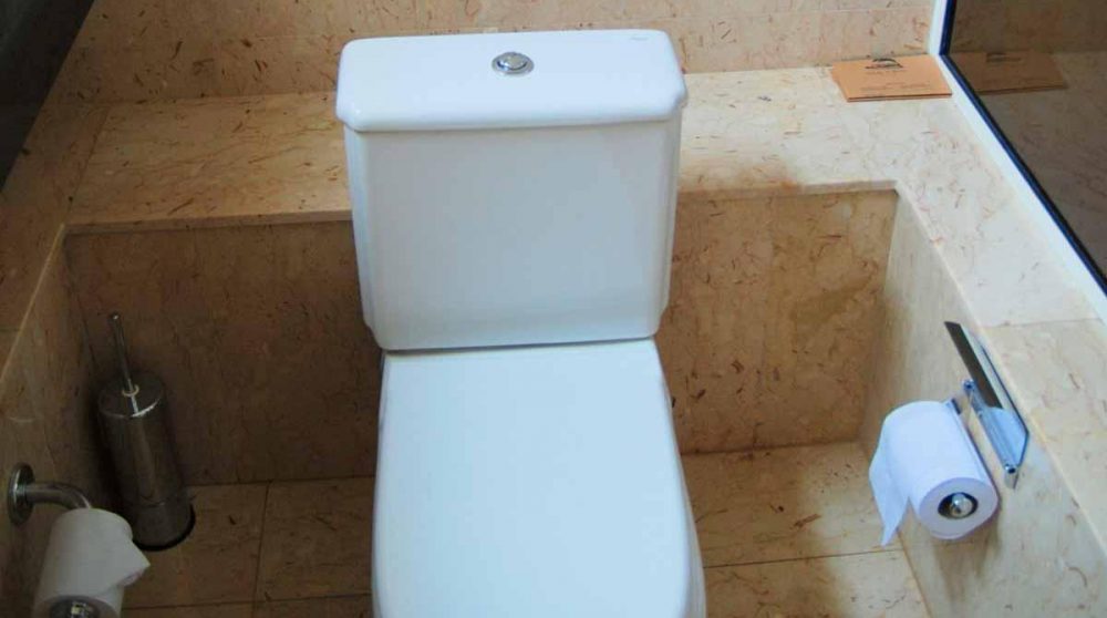 Toilettes dans une salle de bains du House of Waine