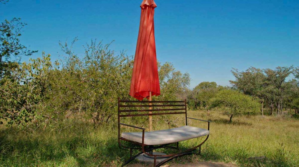 Le jardin du Jackalberry