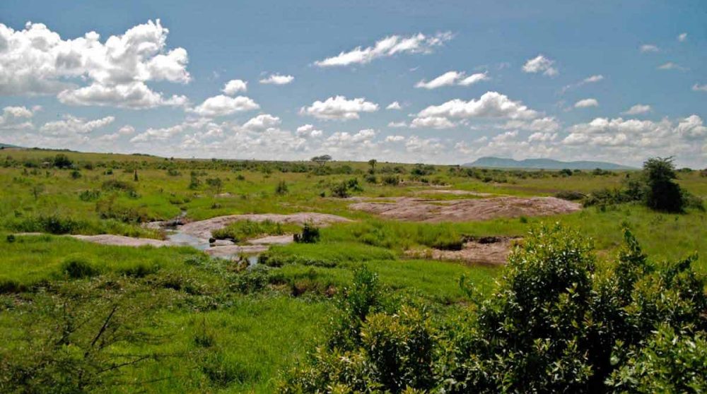 La nature au Keekorok