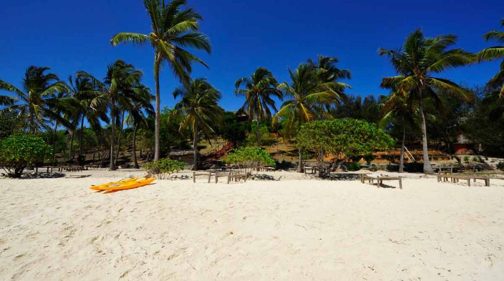 Plage et palmiers au Kichanga Lodge