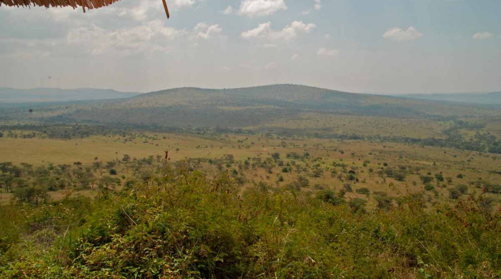 La vue depuis le Klein's Camp