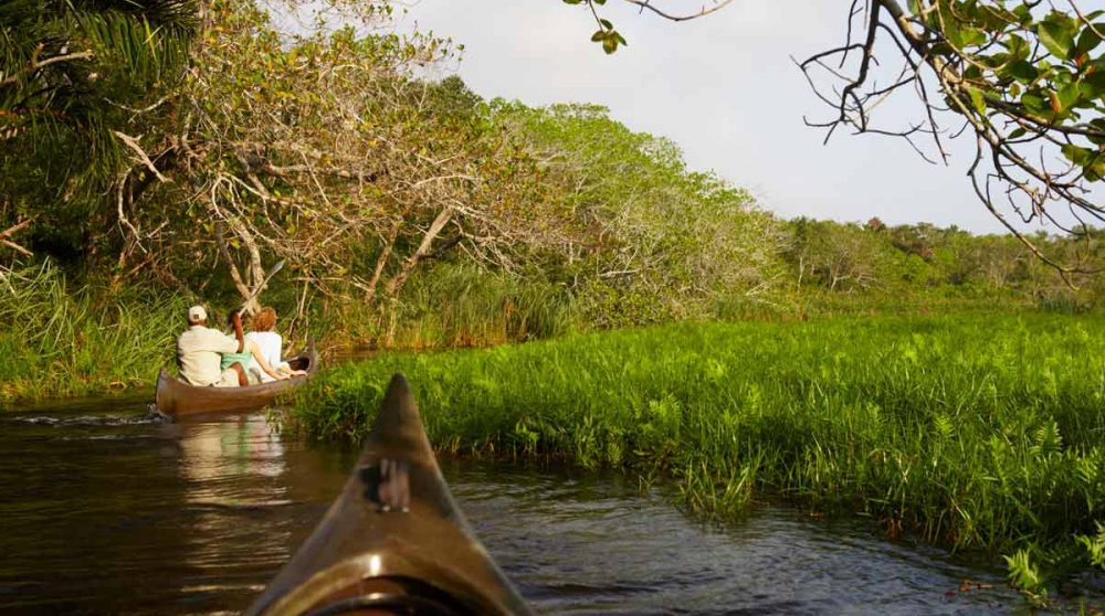 Découverte en canoé au Kosi Forest Lodge