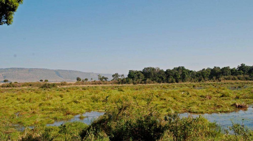 Les plaines à perte de vue à Little Governors Camp