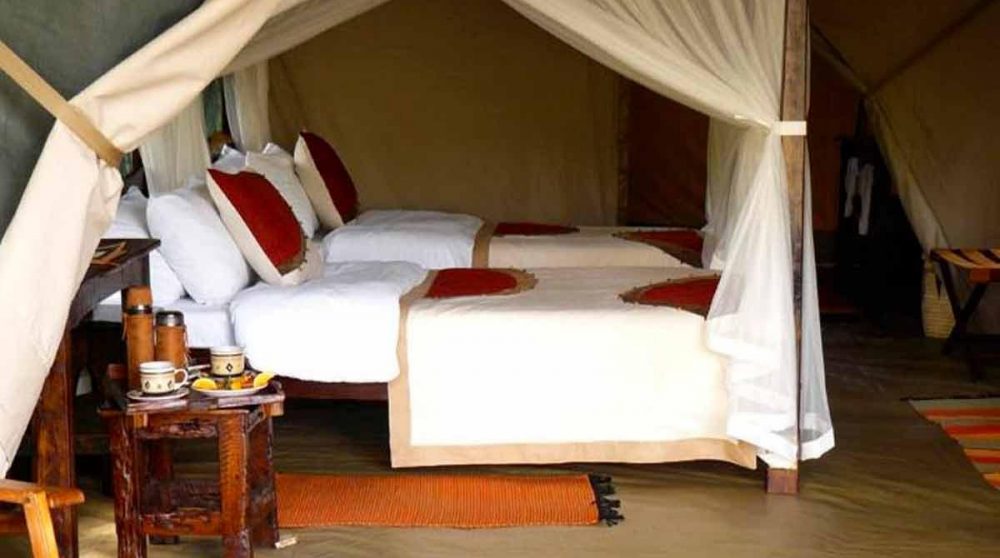 Autre chambre au Mara Bush Camp